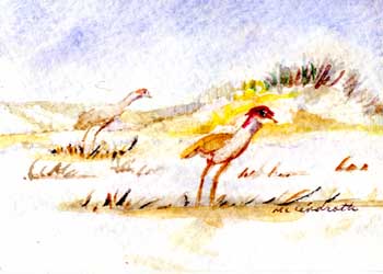 "Early Birds Sandhill Cranes" by Mary Lou Lindroth, Rockton IL - Watercolor - SOLD